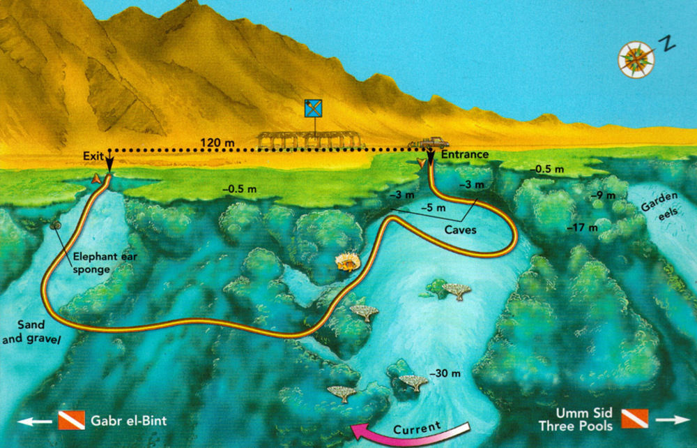 Dahab Divers Екстер'єр фото